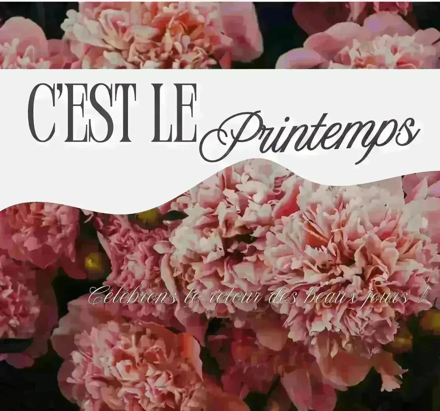 Tendance sac femme printemps 2026  du quotidien aux cérémonies - Crocochic