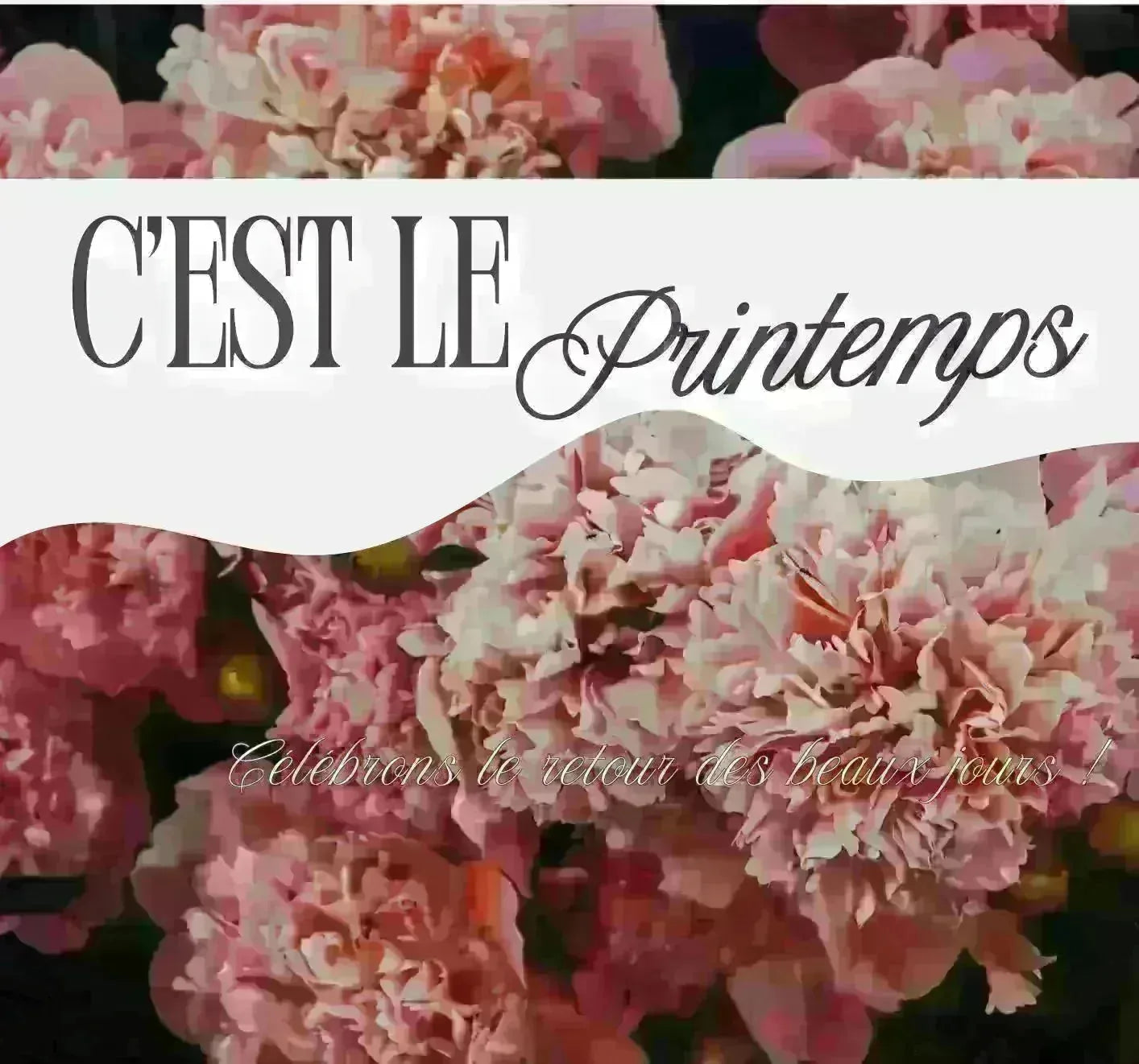 Tendance sac femme printemps 2026  du quotidien aux cérémonies - Crocochic