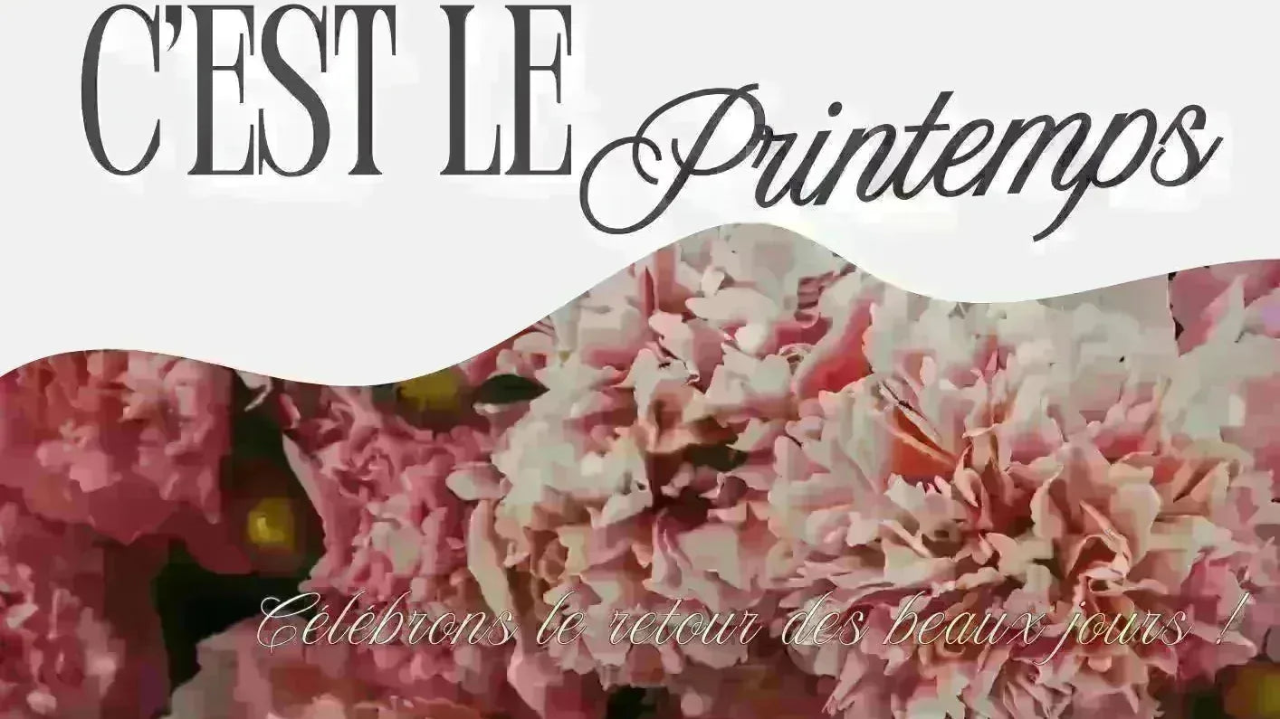 Tendance sac femme printemps 2026  du quotidien aux cérémonies - Crocochic