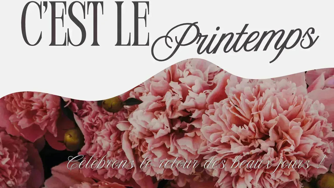 Tendance sac femme printemps 2026  du quotidien aux cérémonies - Crocochic