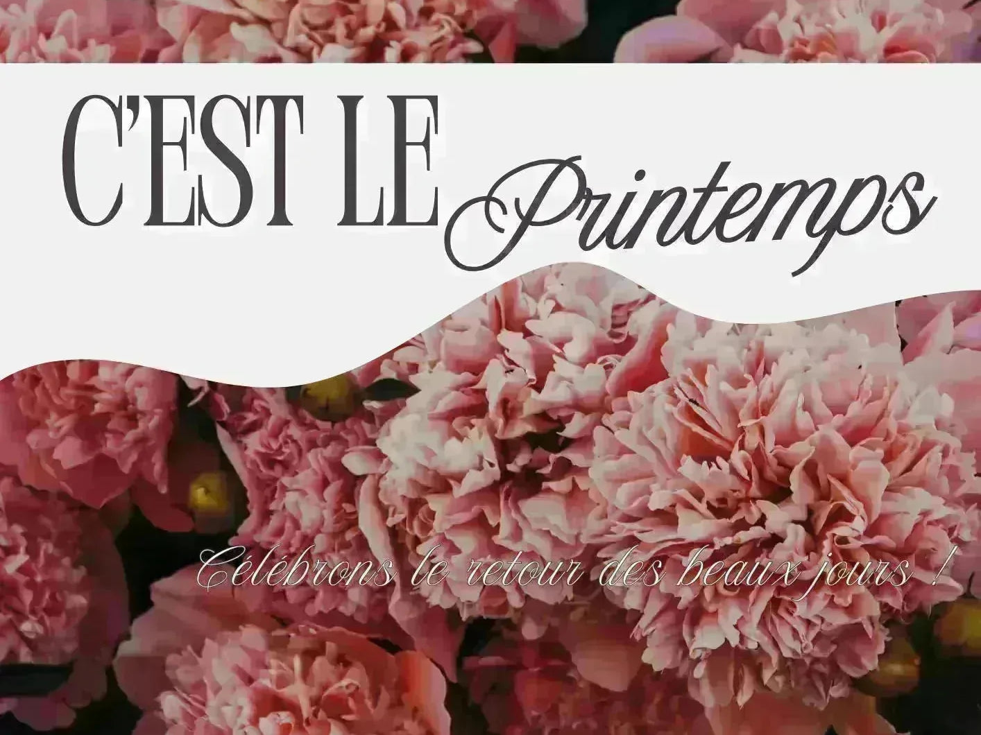 Tendance sac femme printemps 2026  du quotidien aux cérémonies - Crocochic