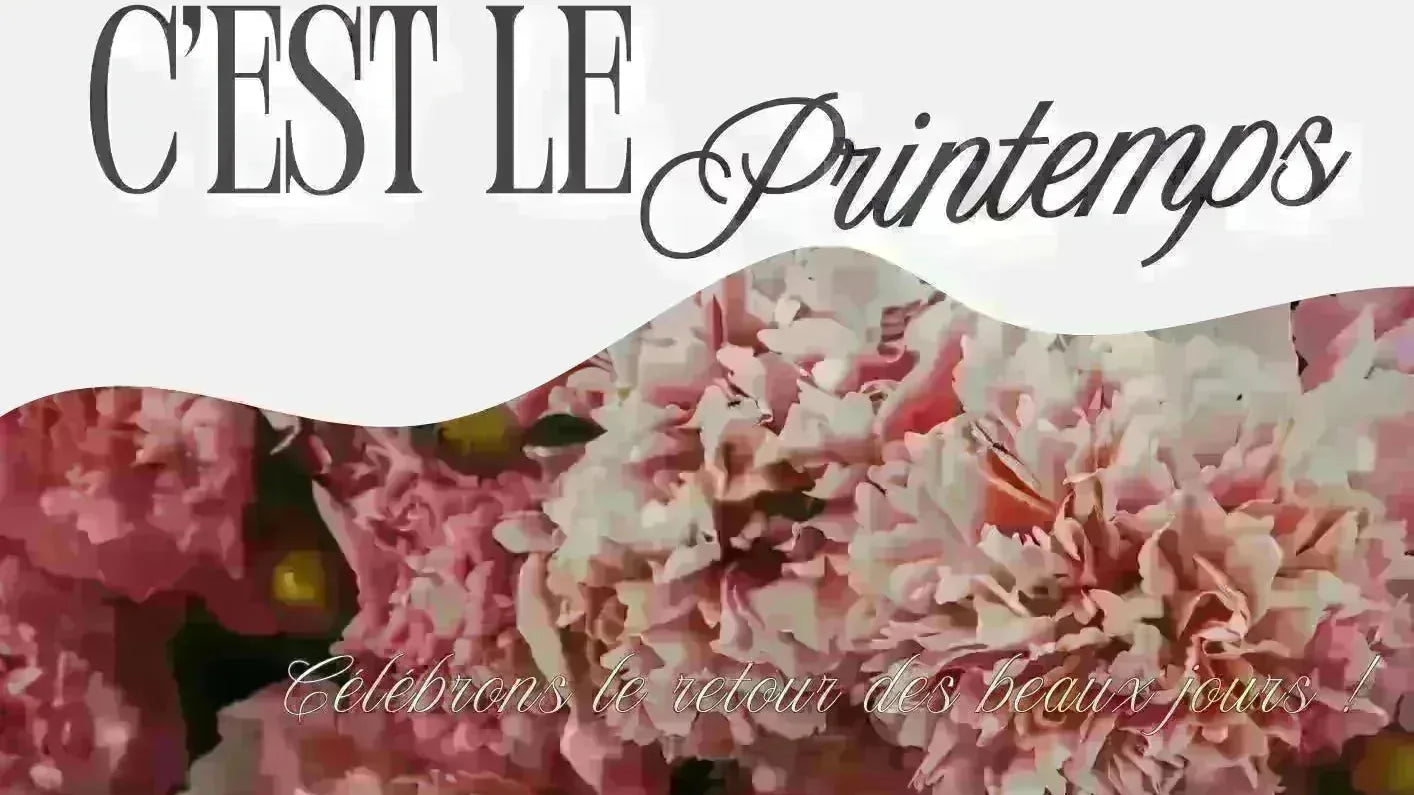 Tendance sac femme printemps 2026  du quotidien aux cérémonies - Crocochic