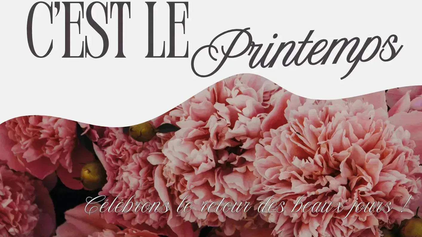 Tendance sac femme printemps 2026  du quotidien aux cérémonies - Crocochic