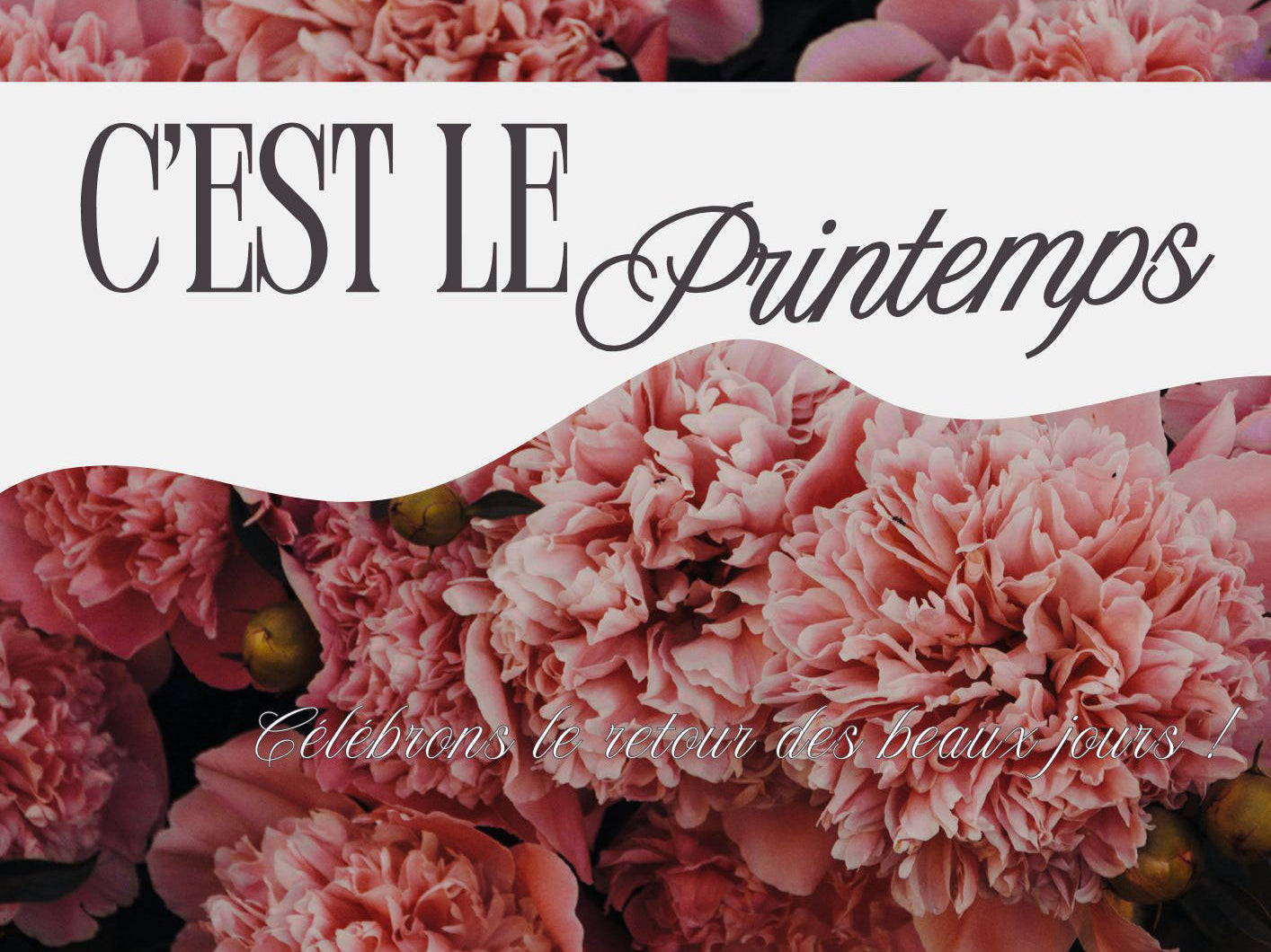 printemps fleurs lumière naturelle ambiance