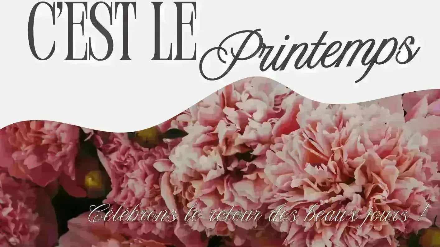 Tendance sac femme printemps 2026  du quotidien aux cérémonies - Crocochic