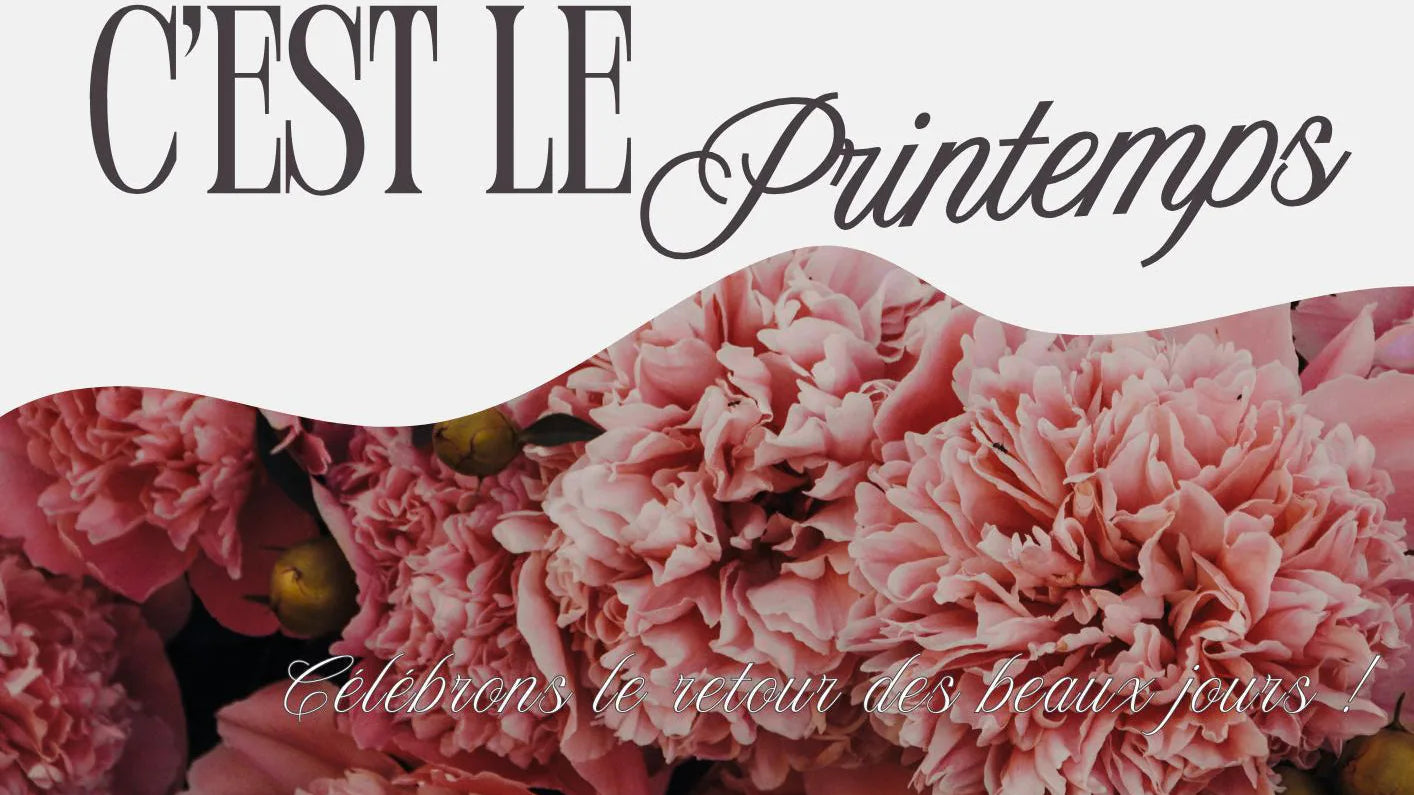 Tendance sac femme printemps 2026 du quotidien aux cérémonies - Crocochic